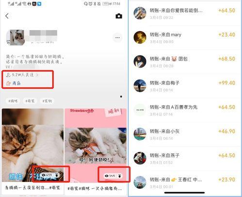 卖货真实爆料视频,揭秘带货主播的“带货术”  第1张 卖货真实爆料视频,揭秘带货主播的“带货术”  第1张