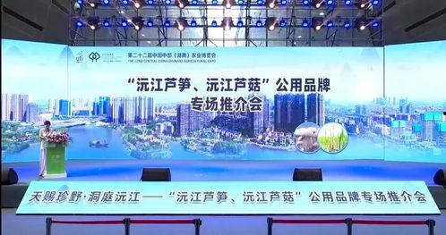 沅江新闻爆料网站官网,聚焦本土热点,传递民生声音  第1张 沅江新闻爆料网站官网,聚焦本土热点,传递民生声音  第1张