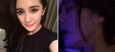 杨之楹被爆料家暴照片视频,真相与争议交织  第1张